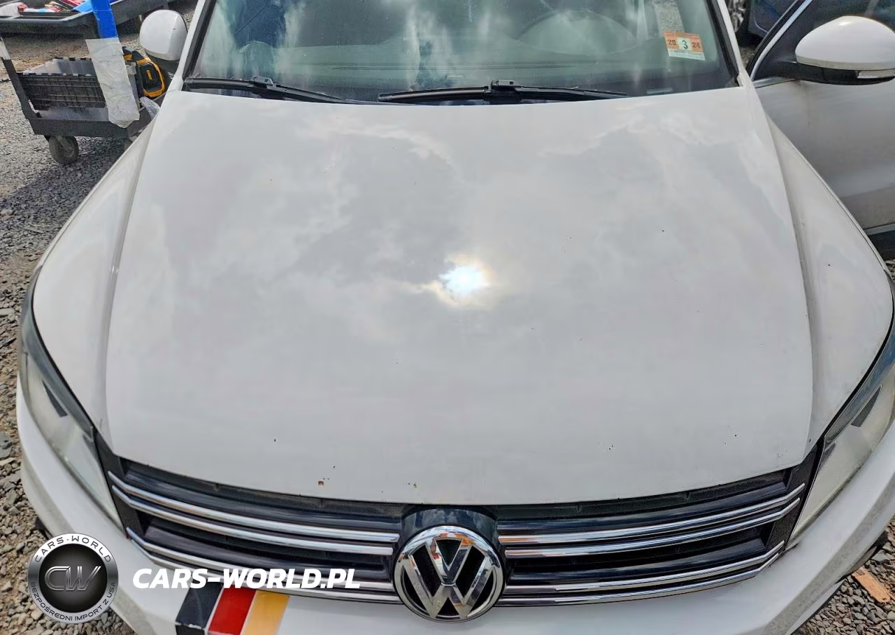 2013 Volkswagen Tiguan S VIN:WVGBV7AX8DW545165 - 12