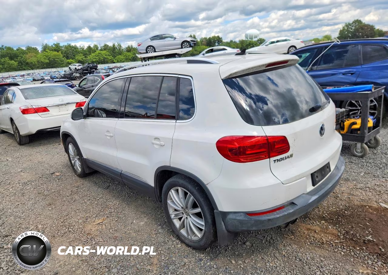 2013 Volkswagen Tiguan S VIN:WVGBV7AX8DW545165 - 2