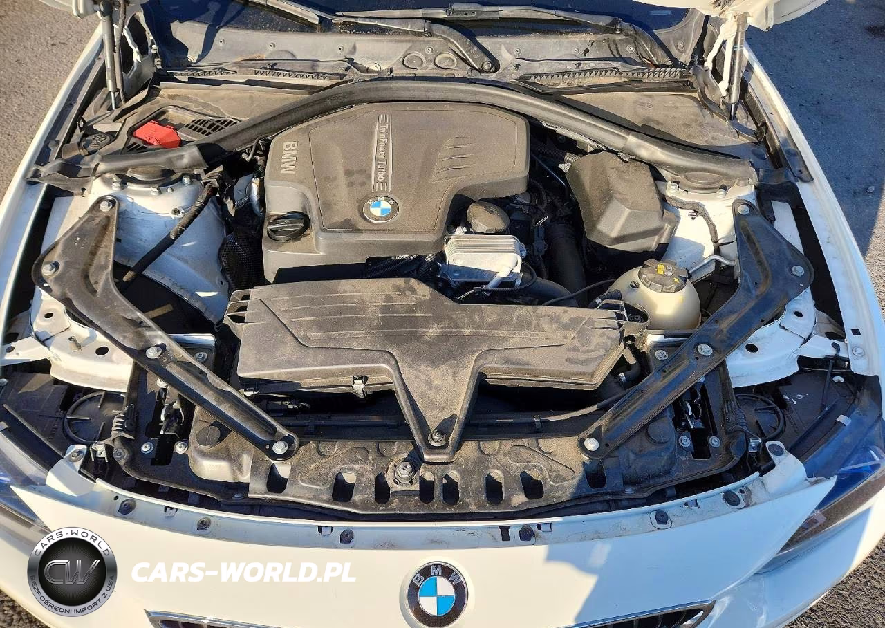 2016 BMW 428 I Sulev VIN:WBA3V7C59G5A28049 - 11
