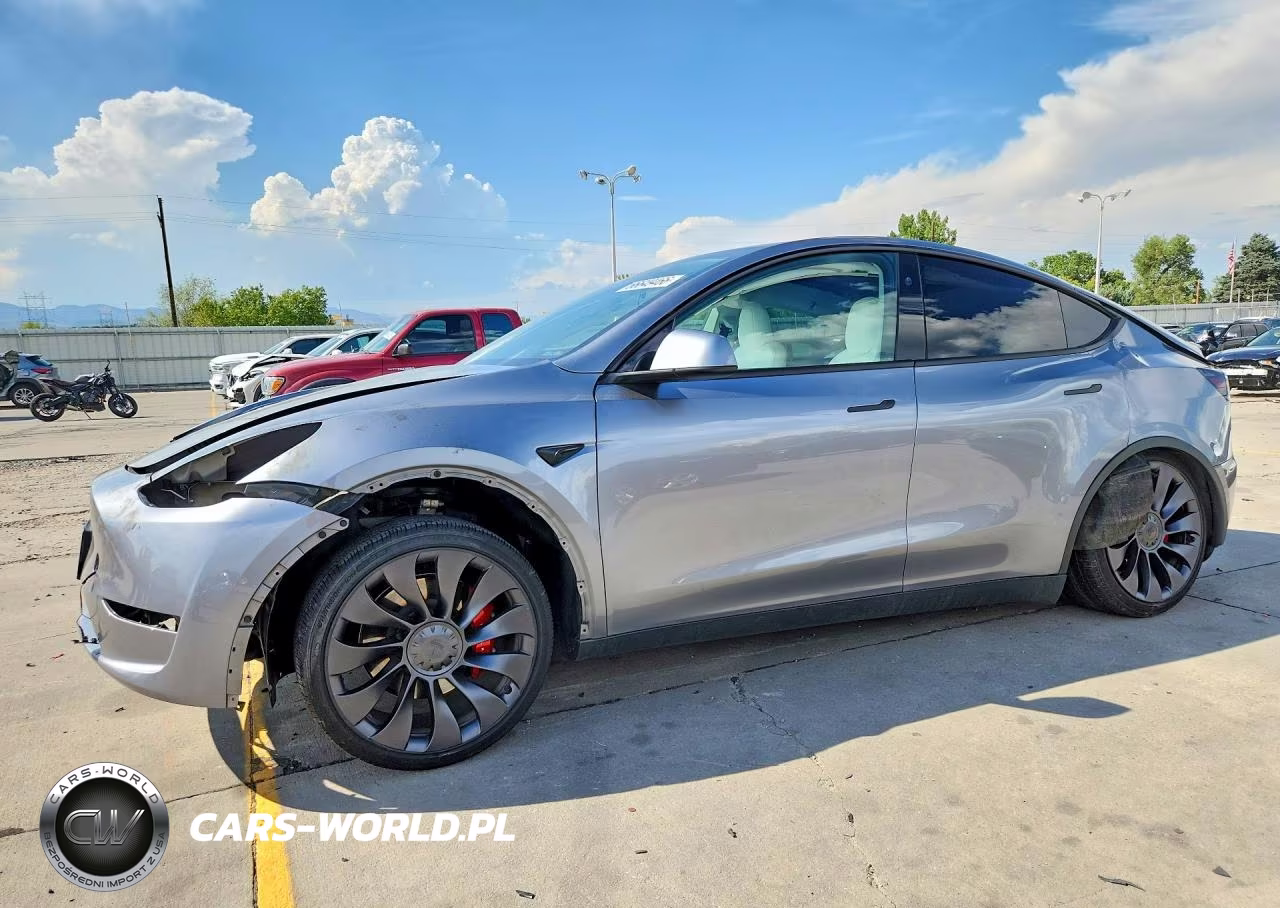 2024 Tesla Model Y VIN:7SAYGDEF5RF116489 - 1