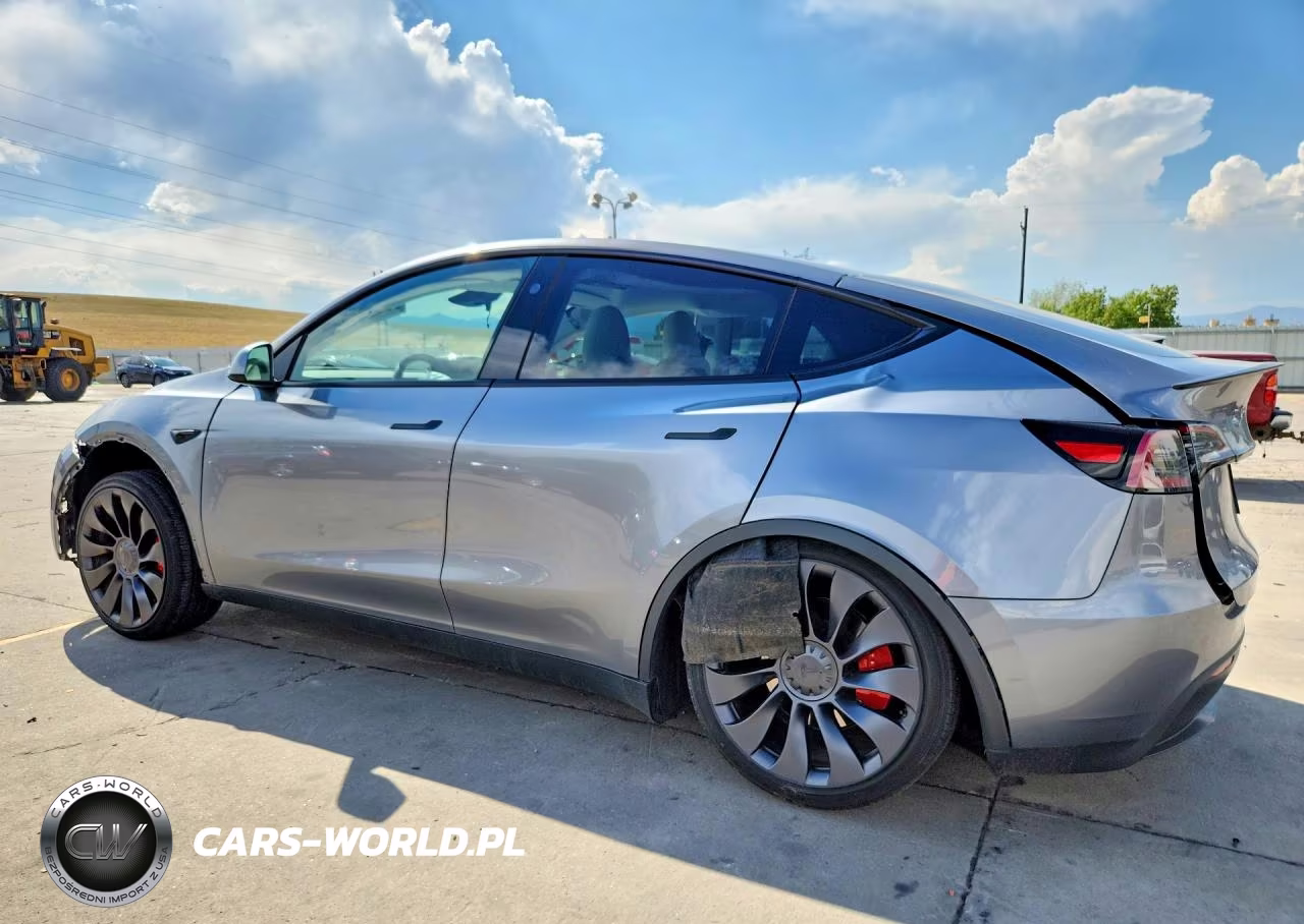 2024 Tesla Model Y VIN:7SAYGDEF5RF116489 - 2