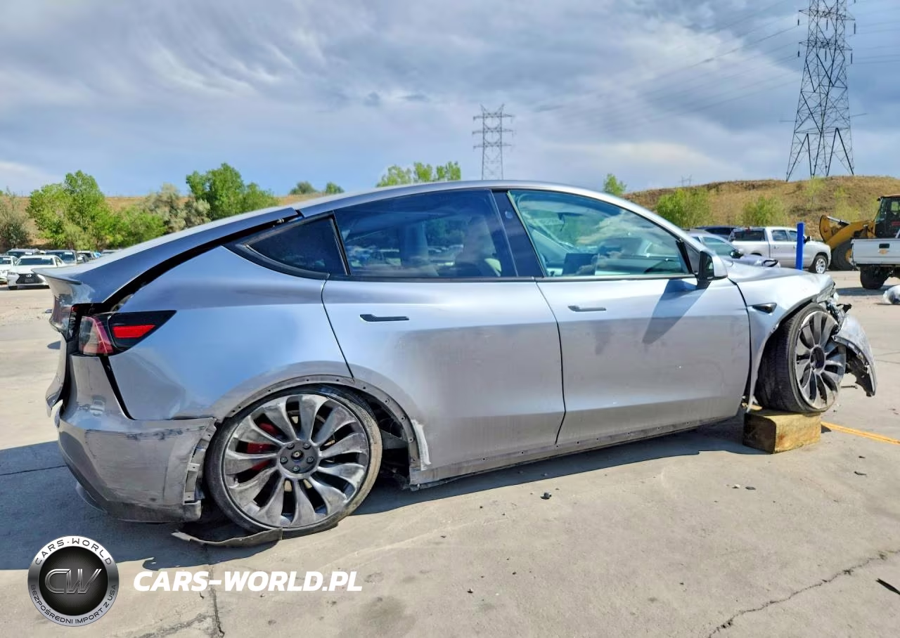 2024 Tesla Model Y VIN:7SAYGDEF5RF116489 - 3