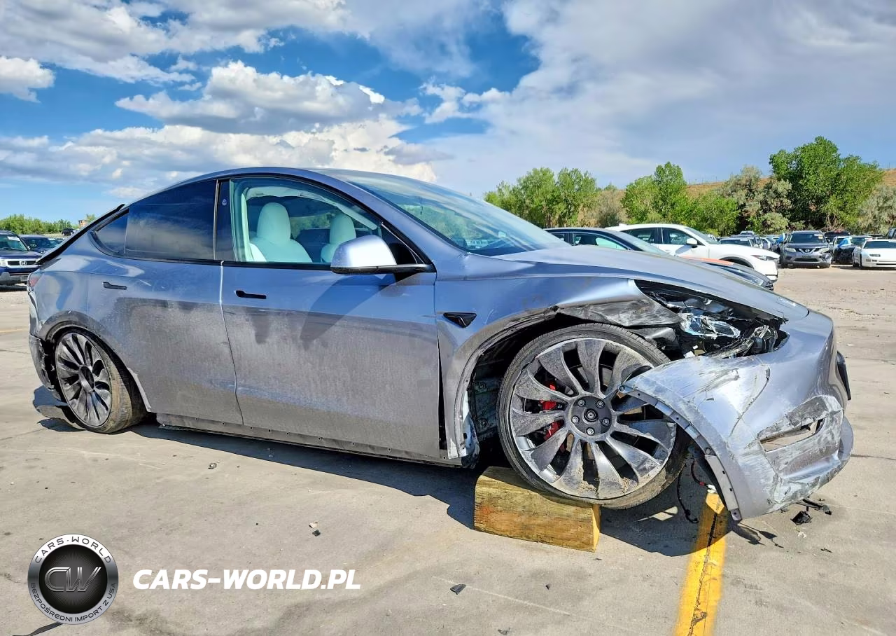 2024 Tesla Model Y VIN:7SAYGDEF5RF116489 - 4