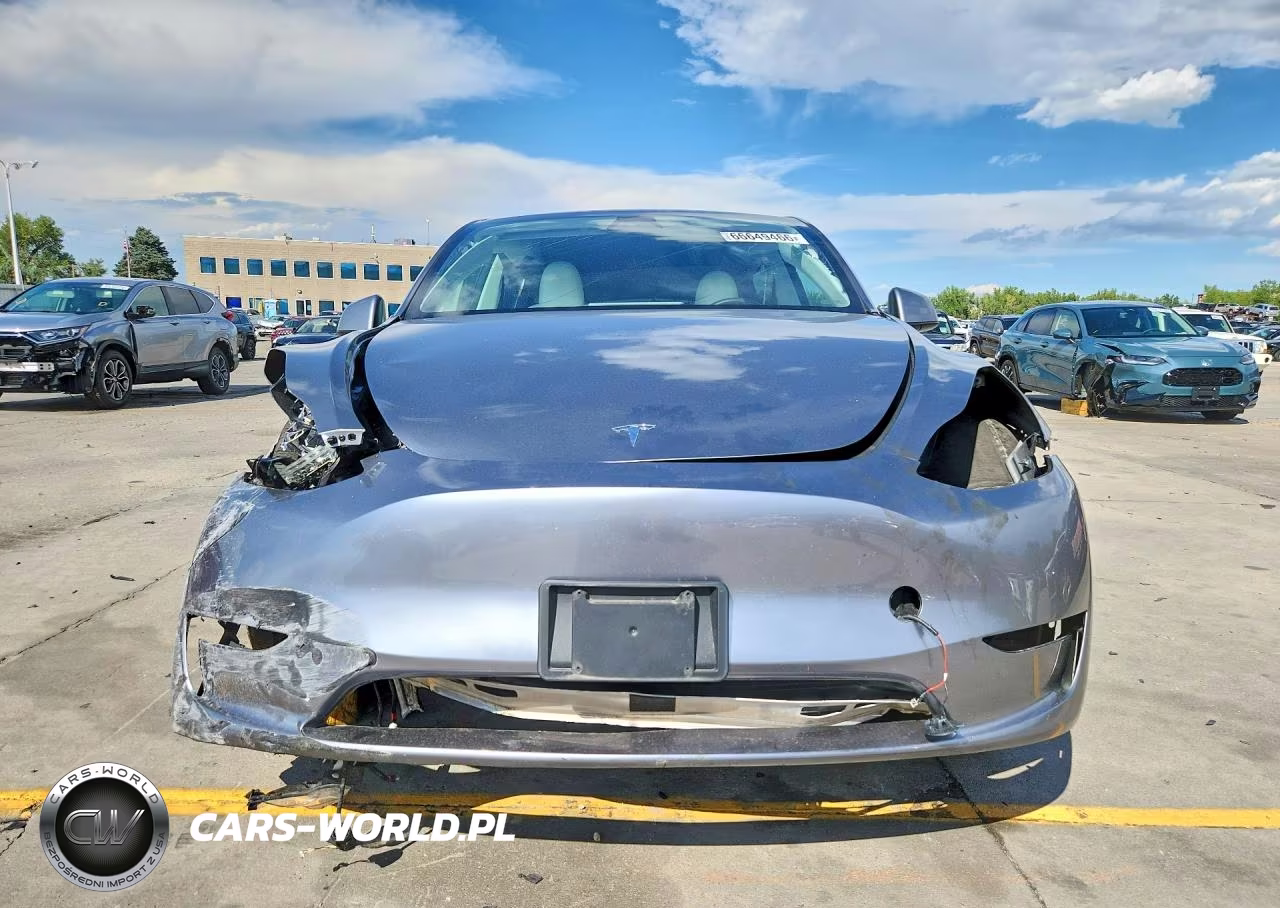 2024 Tesla Model Y VIN:7SAYGDEF5RF116489 - 5