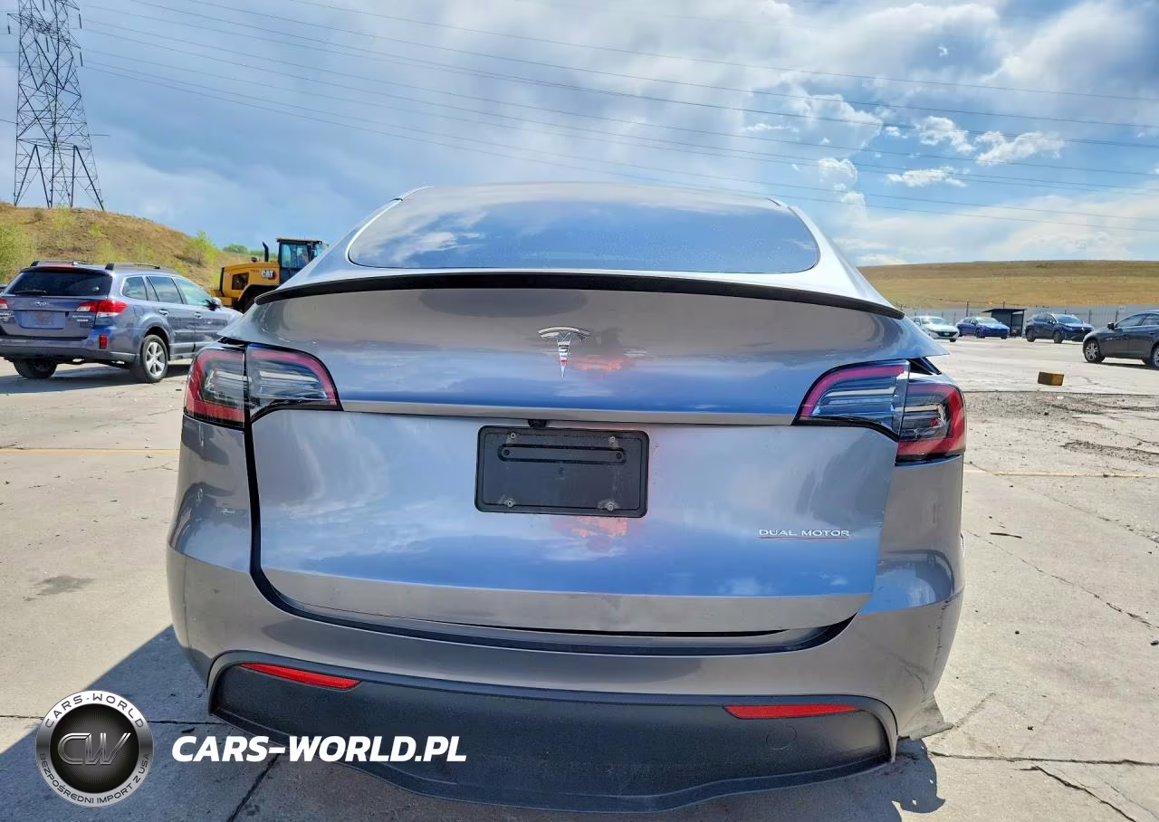 2024 Tesla Model Y VIN:7SAYGDEF5RF116489 - 6