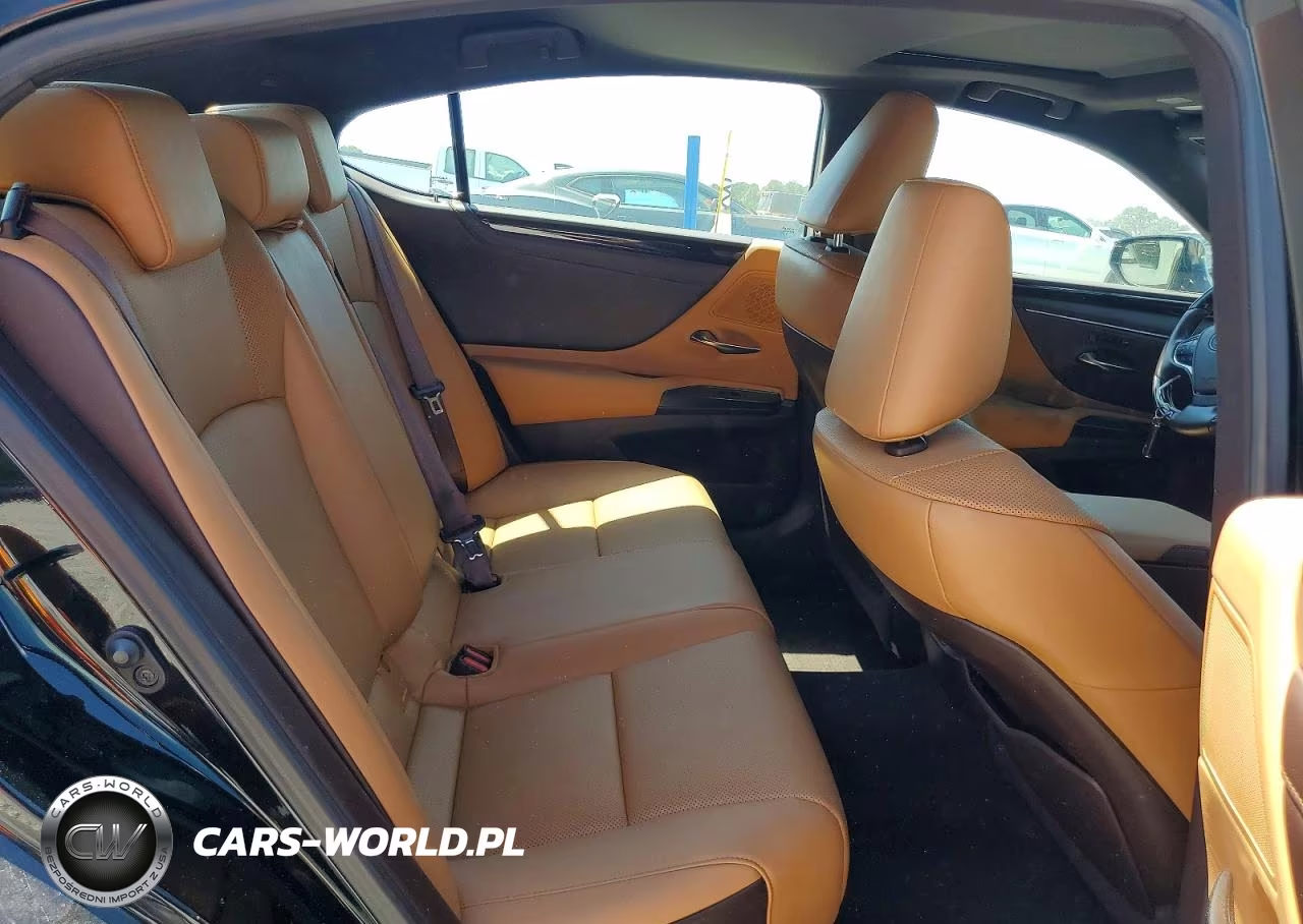 2020 Lexus Es 350 VIN:58ADZ1B14LU077071 - 10