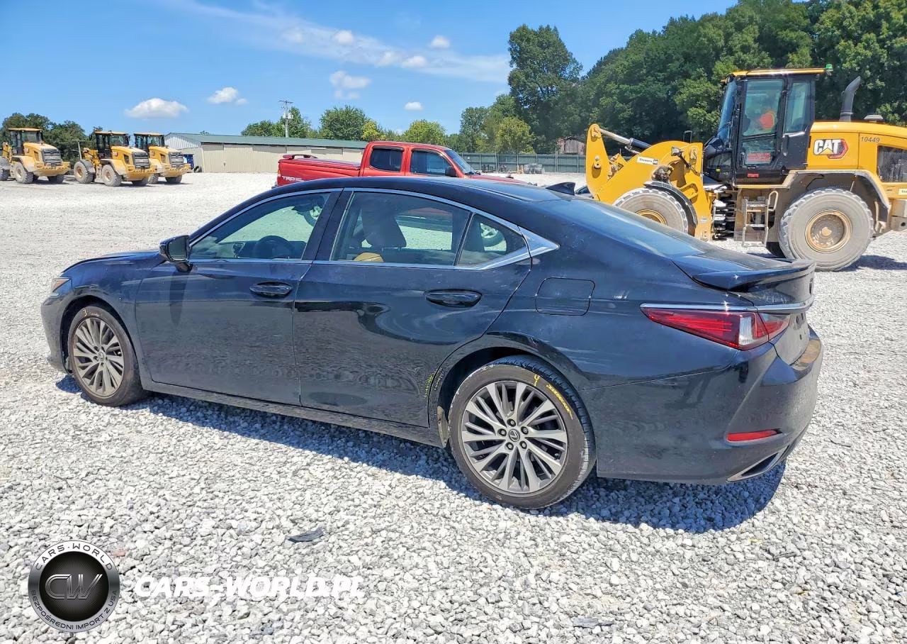 2020 Lexus Es 350 VIN:58ADZ1B14LU077071 - 2