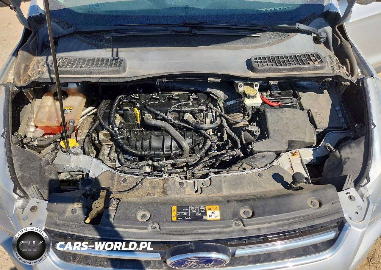 2013 Ford Escape Sel VIN:1FMCU0HX8DUA32465 - 12