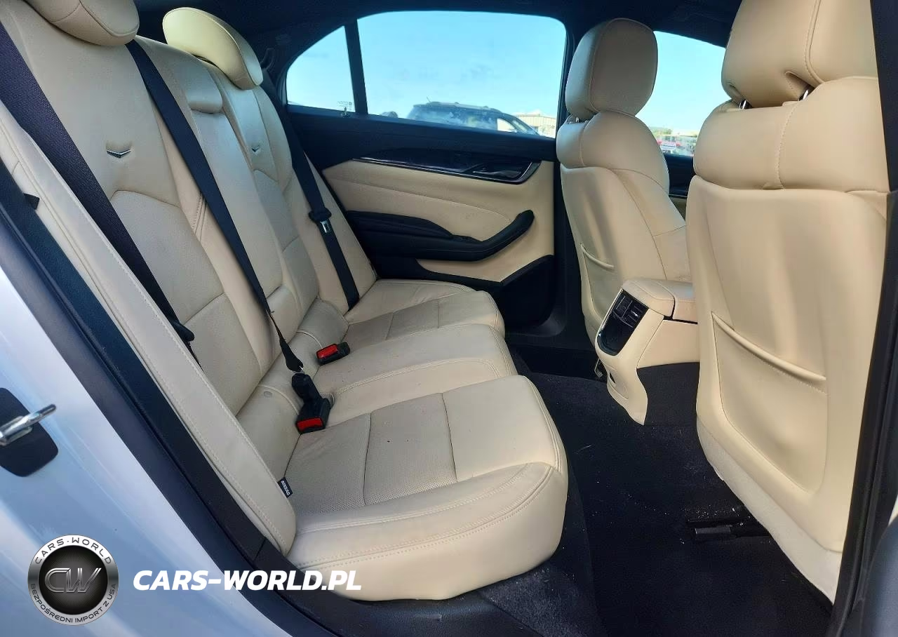 2019 Cadillac Cts Luxury VIN:1G6AR5SX2K0139389 - 10