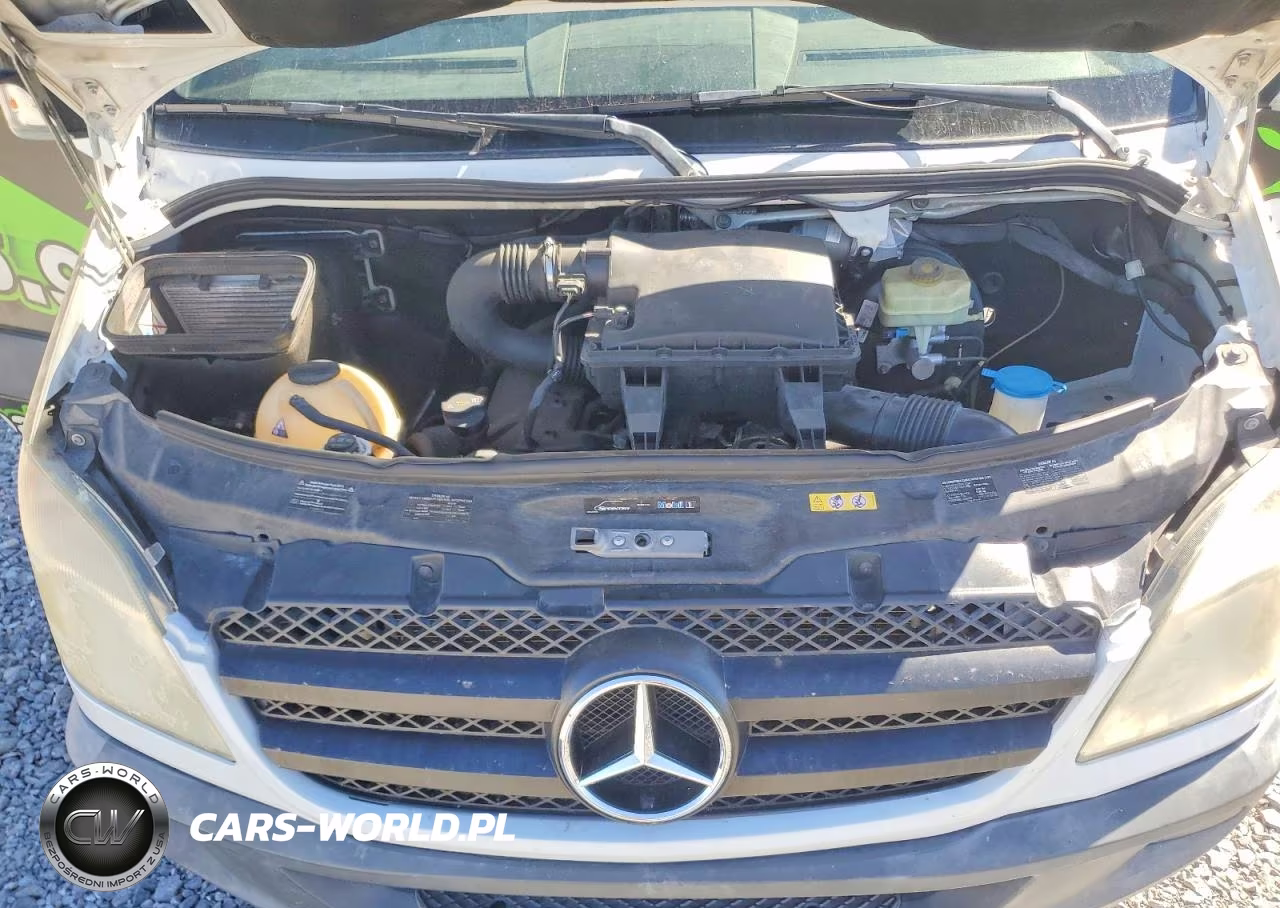 2013 Mercedes-Benz Sprinter 3500 VIN:WD3PF1CC3D5755249 - 12