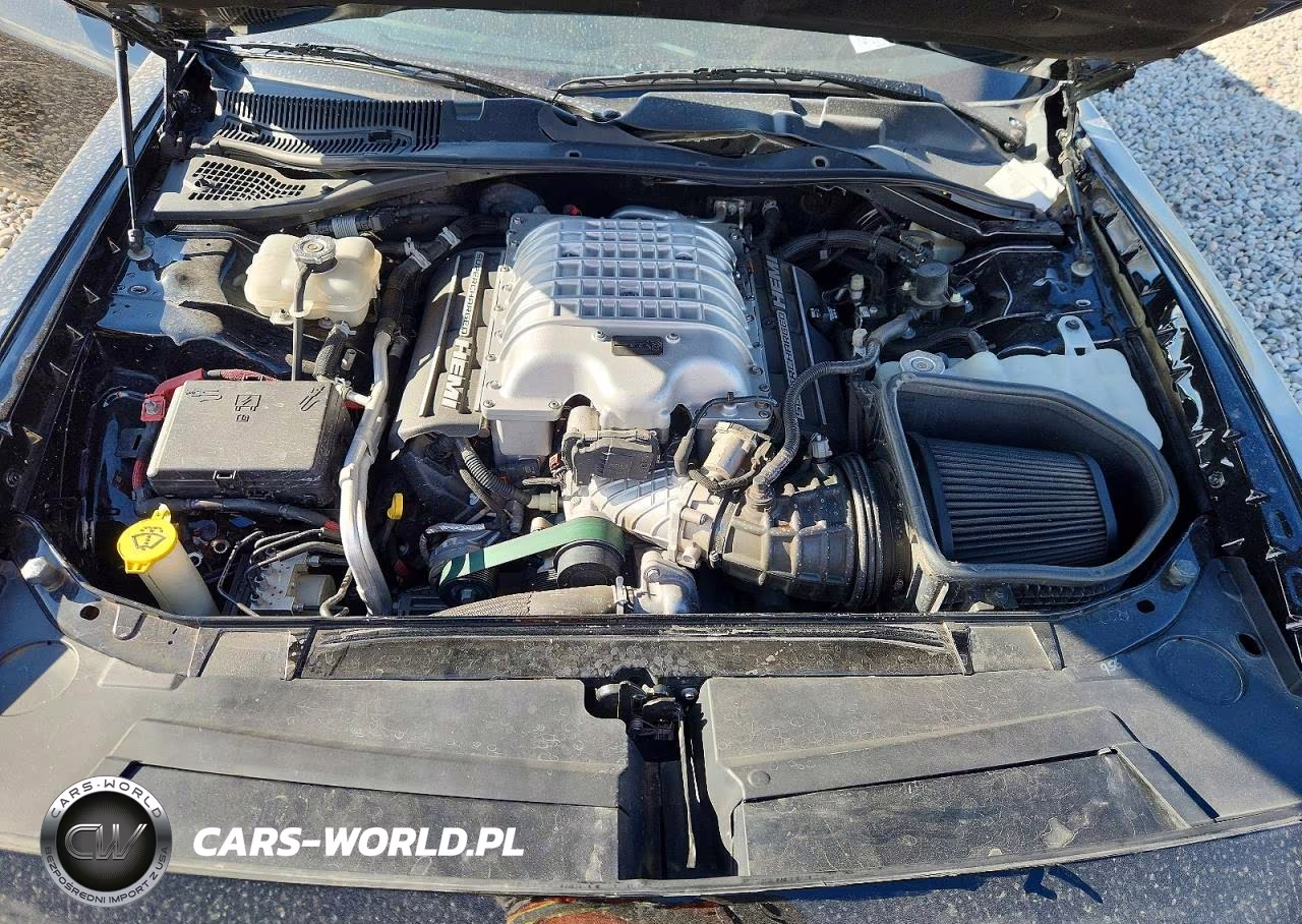 2019 Dodge Challenger Srt Hellcat Redeye VIN:2C3CDZL90KH503143 - 11
