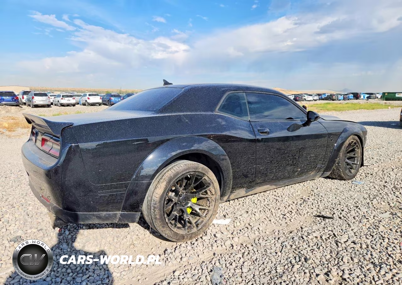 2019 Dodge Challenger Srt Hellcat Redeye VIN:2C3CDZL90KH503143 - 3