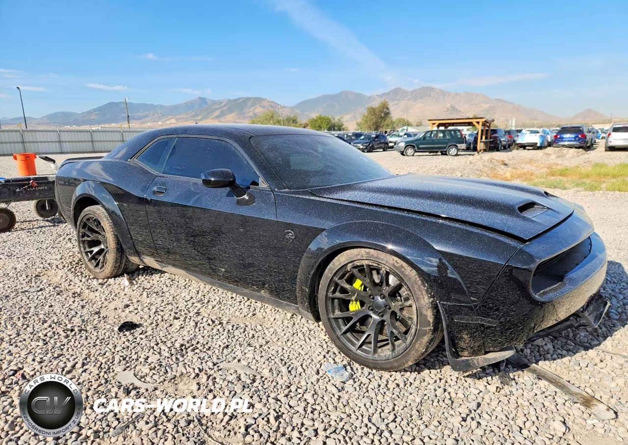 2019 Dodge Challenger Srt Hellcat Redeye VIN:2C3CDZL90KH503143 - 4