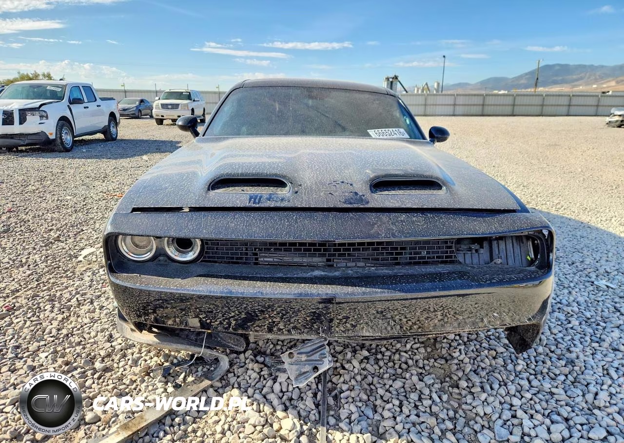 2019 Dodge Challenger Srt Hellcat Redeye VIN:2C3CDZL90KH503143 - 5