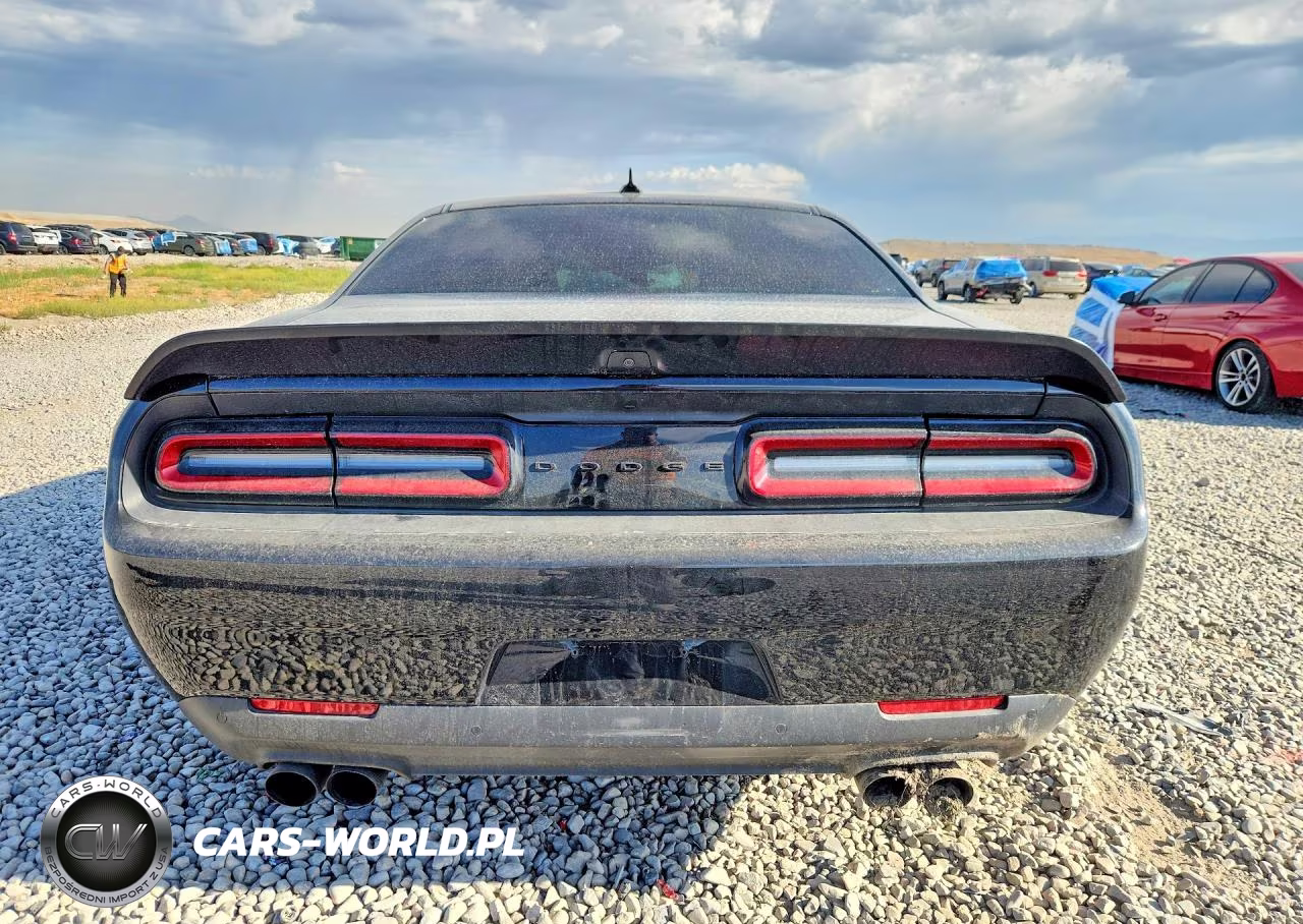 2019 Dodge Challenger Srt Hellcat Redeye VIN:2C3CDZL90KH503143 - 6