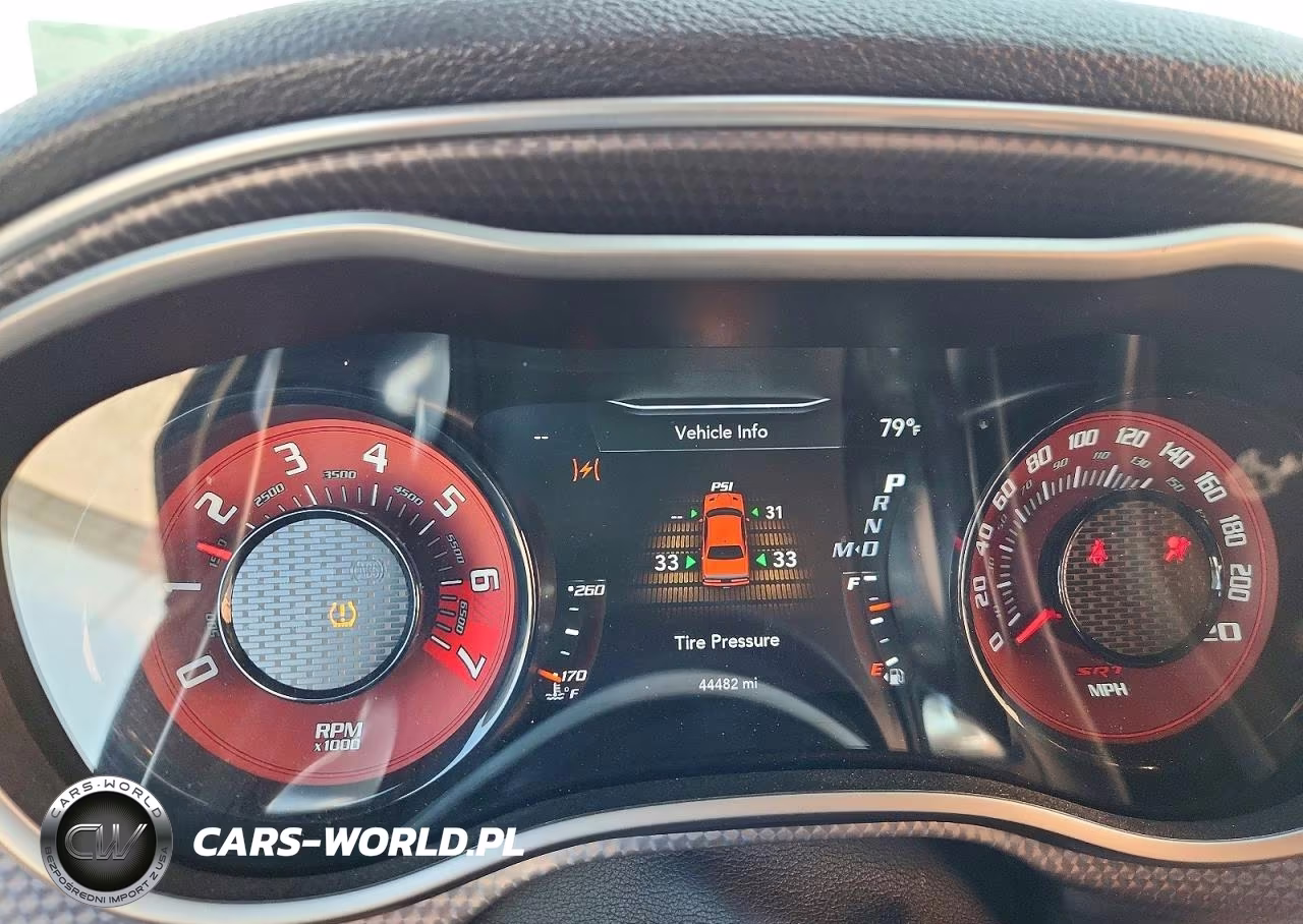 2019 Dodge Challenger Srt Hellcat Redeye VIN:2C3CDZL90KH503143 - 9