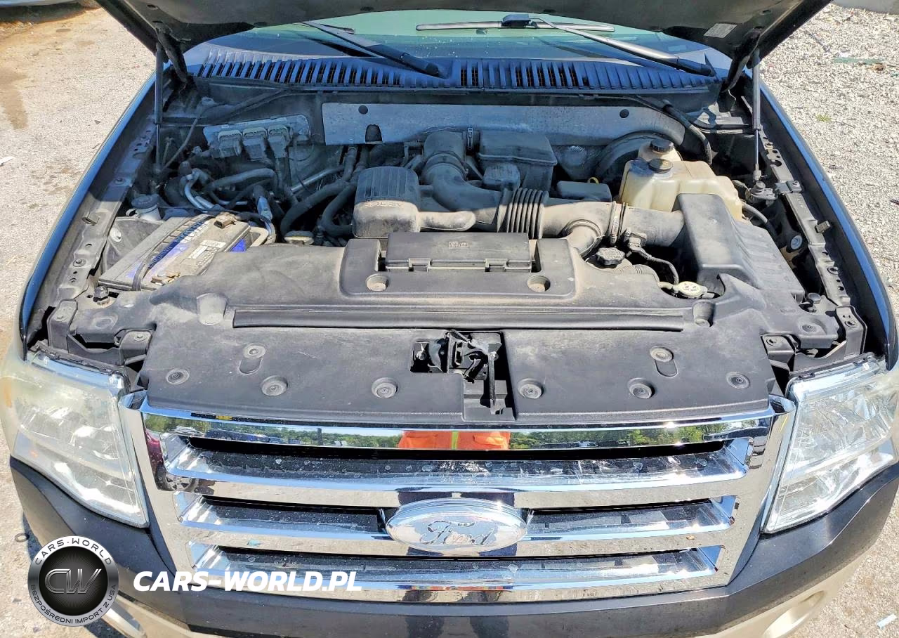 2009 Ford Expedition Eddie Bauer VIN:1FMFU18569EB03715 - 12