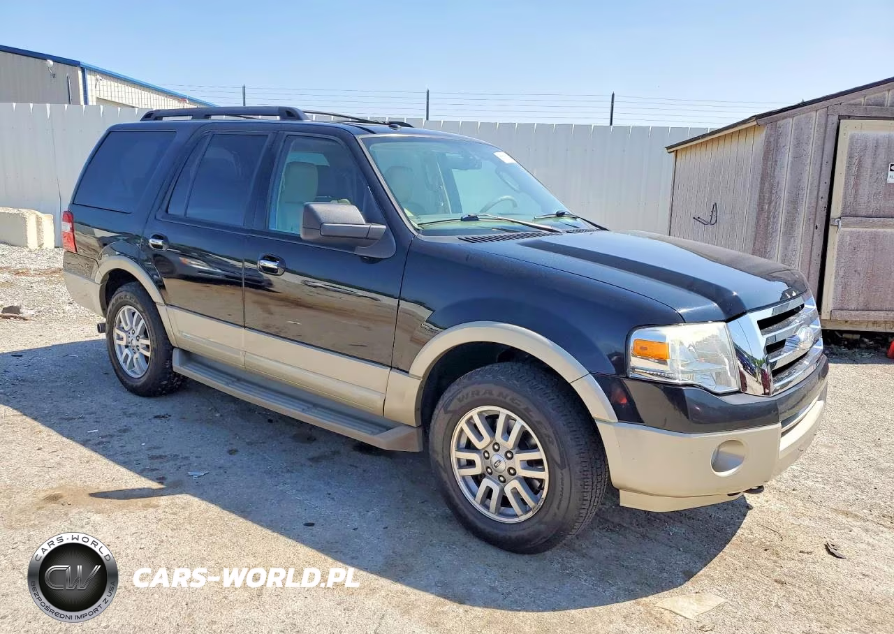 2009 Ford Expedition Eddie Bauer VIN:1FMFU18569EB03715 - 4