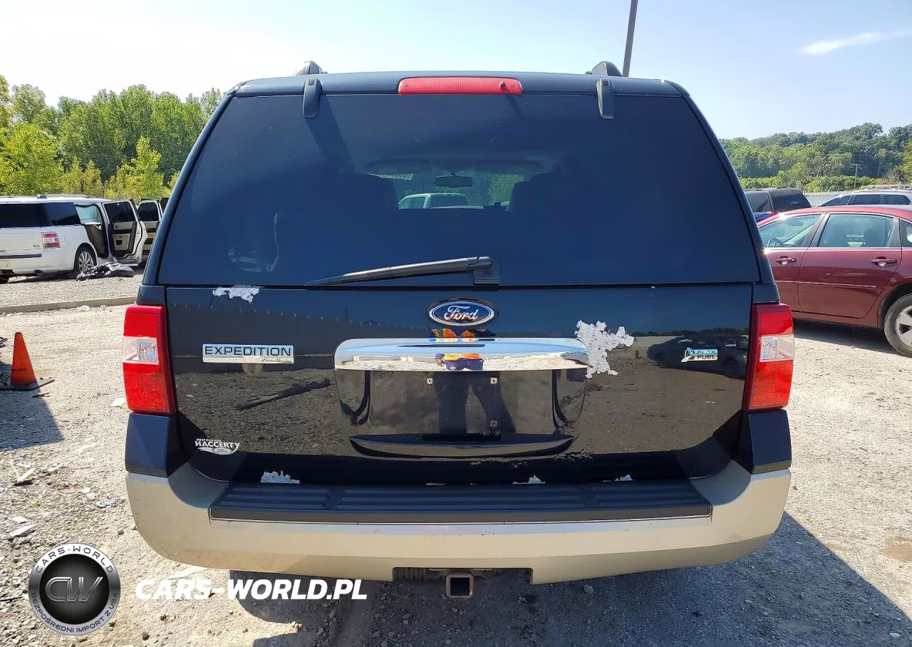 2009 Ford Expedition Eddie Bauer VIN:1FMFU18569EB03715 - 6