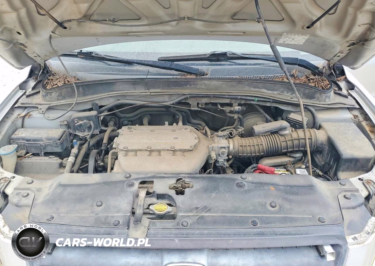 2005 Honda Pilot Exl VIN:2HKYF18695H532034 - 12