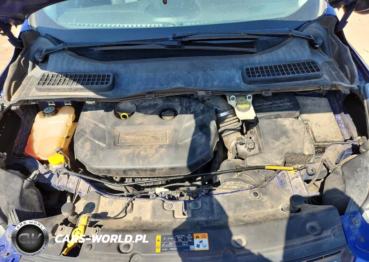 2013 Ford Escape Se VIN:1FMCU9G90DUC22557 - 11