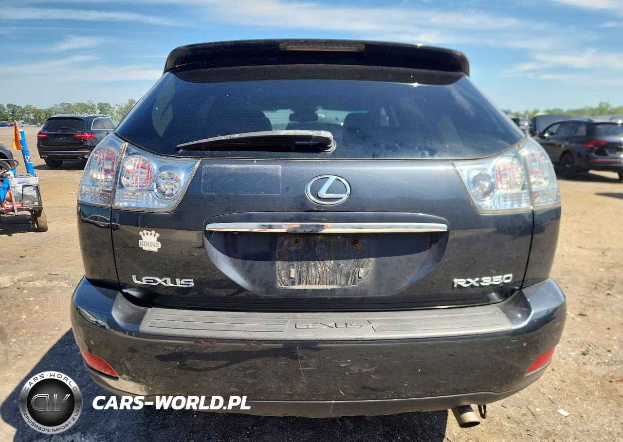 2009 Lexus Rx 350 VIN:2T2HK31U29C113091 - 6