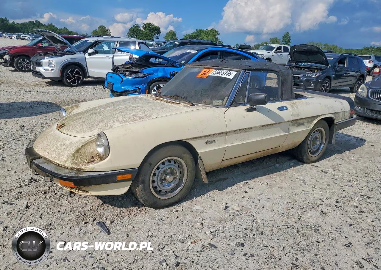 1987 Alfa Romeo Spider Graduate