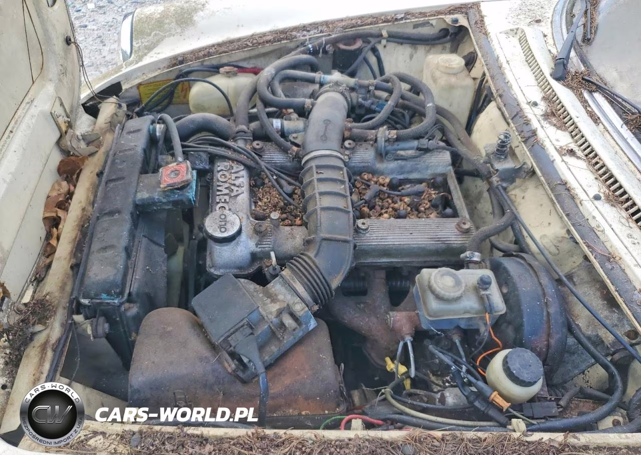 1987 Alfa Romeo Spider Graduate VIN:ZARBA5641H1045361 - 11