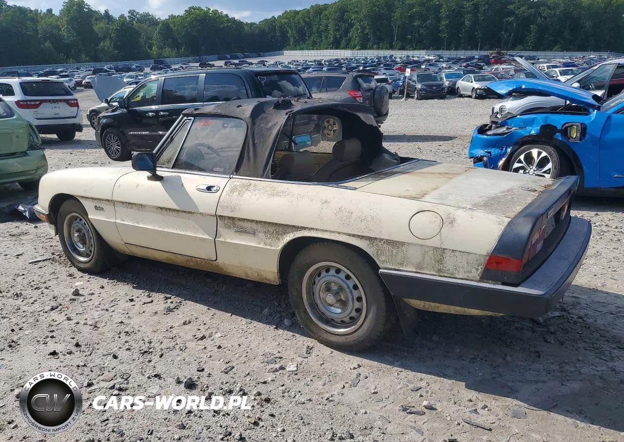 1987 Alfa Romeo Spider Graduate VIN:ZARBA5641H1045361 - 2