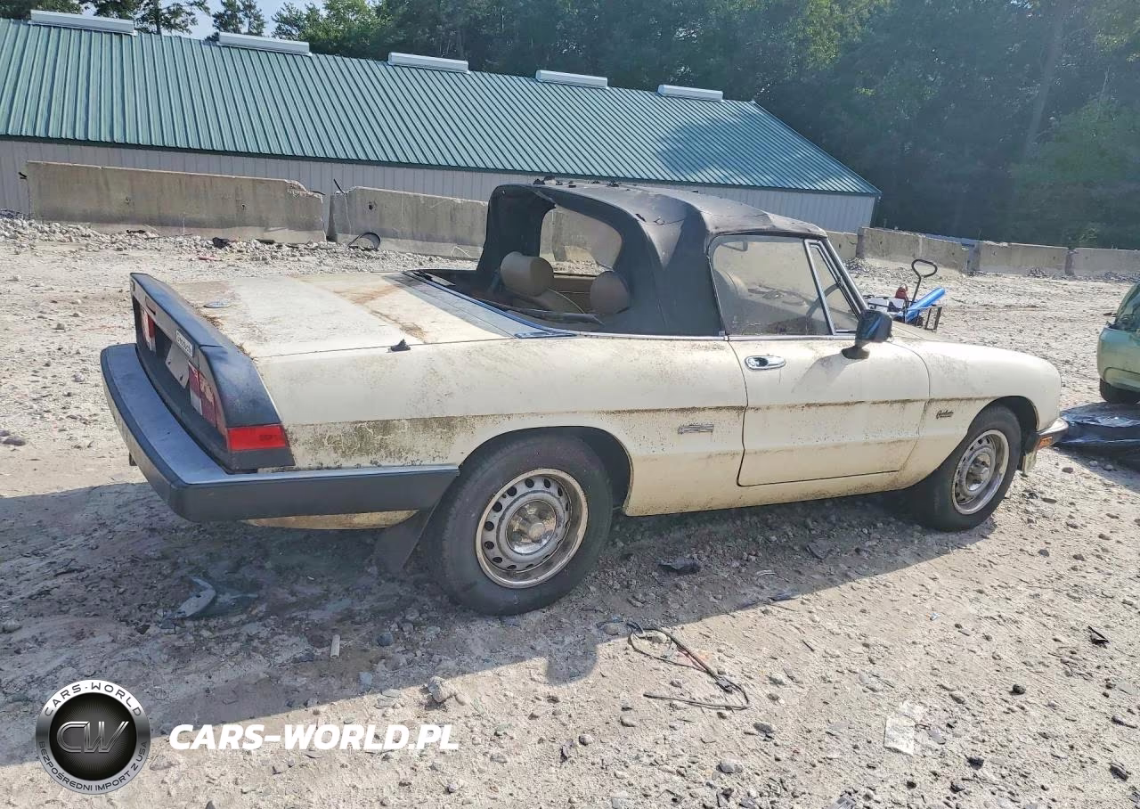 1987 Alfa Romeo Spider Graduate VIN:ZARBA5641H1045361 - 3