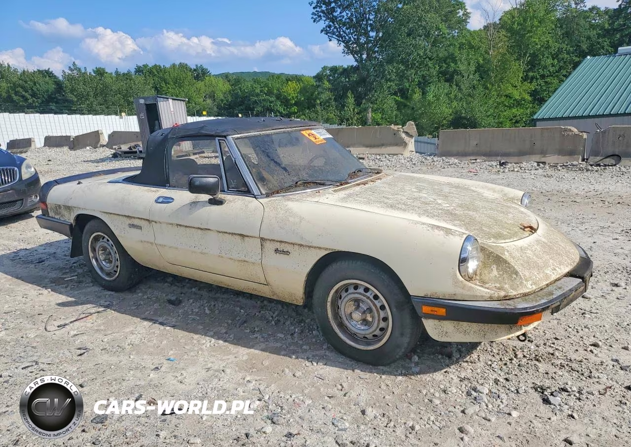1987 Alfa Romeo Spider Graduate VIN:ZARBA5641H1045361 - 4