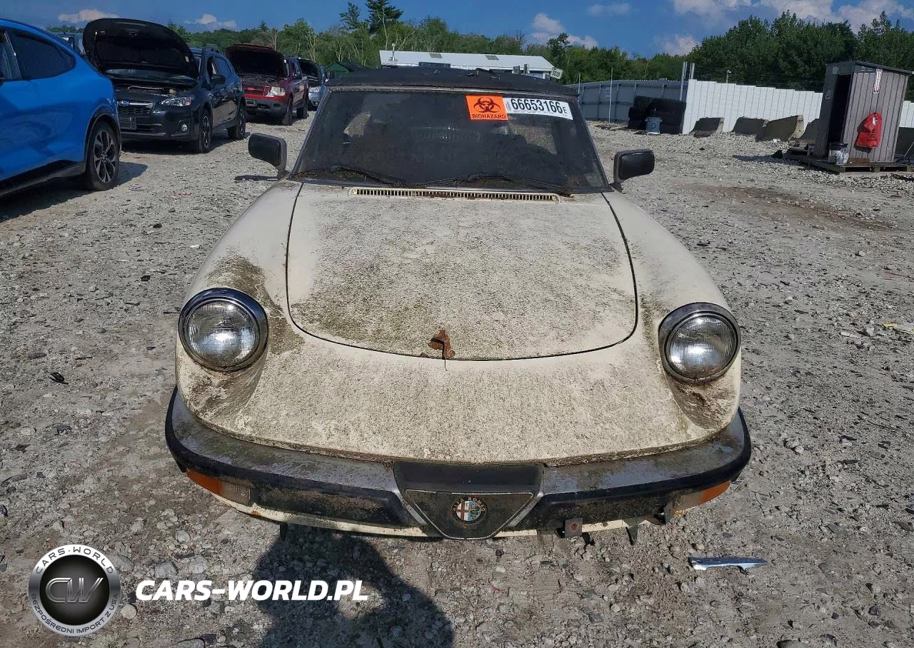 1987 Alfa Romeo Spider Graduate VIN:ZARBA5641H1045361 - 5
