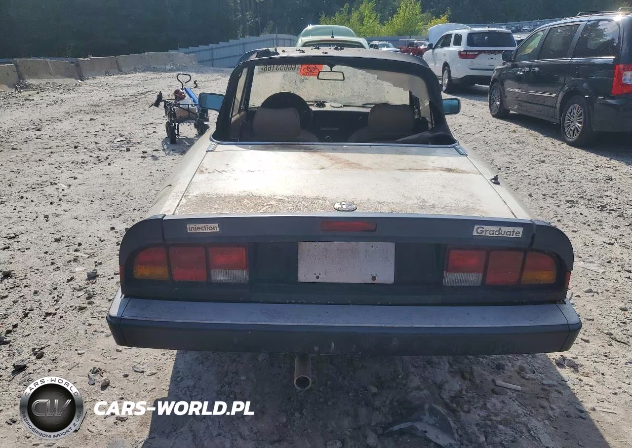 1987 Alfa Romeo Spider Graduate VIN:ZARBA5641H1045361 - 6
