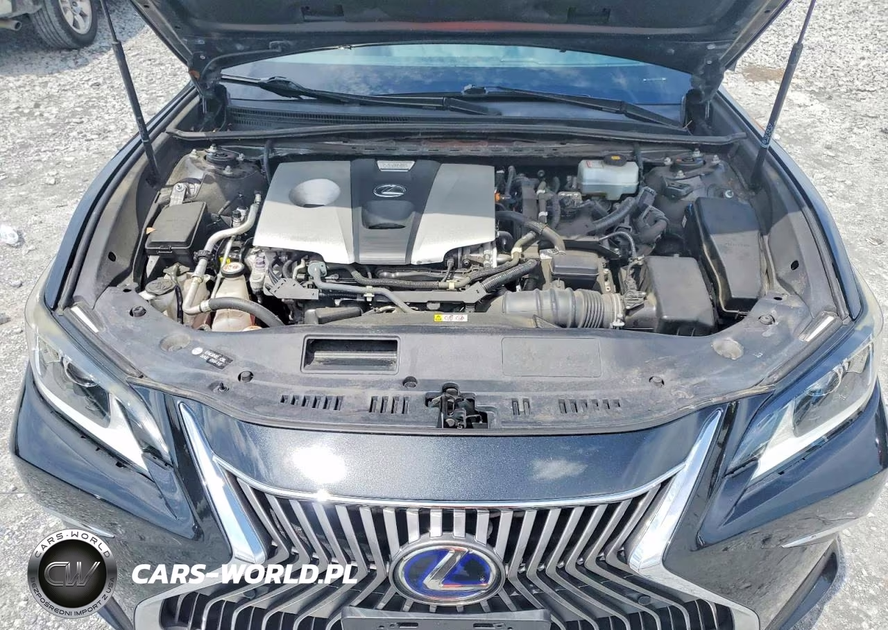 2020 Lexus Es 300H VIN:58AD21B11LU009363 - 11