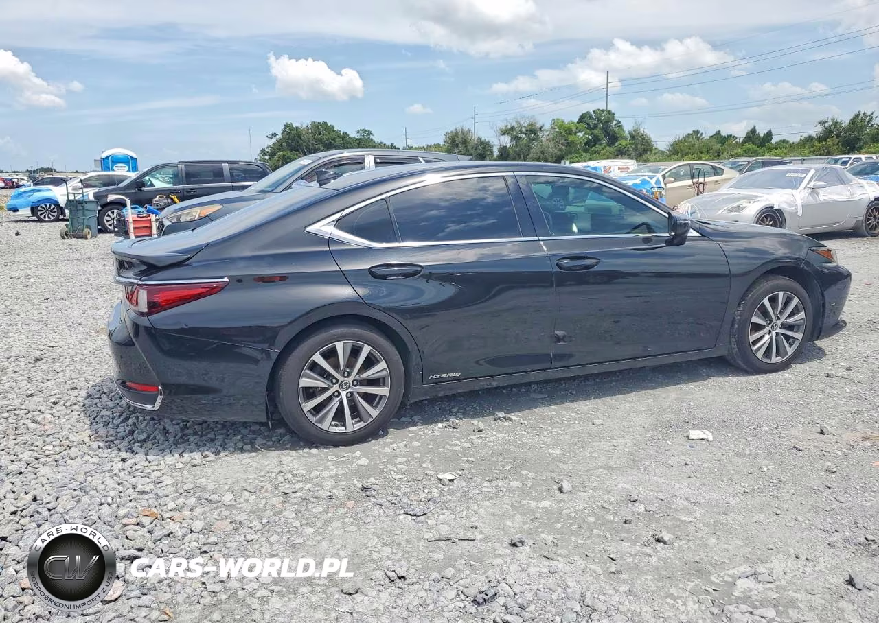 2020 Lexus Es 300H VIN:58AD21B11LU009363 - 3