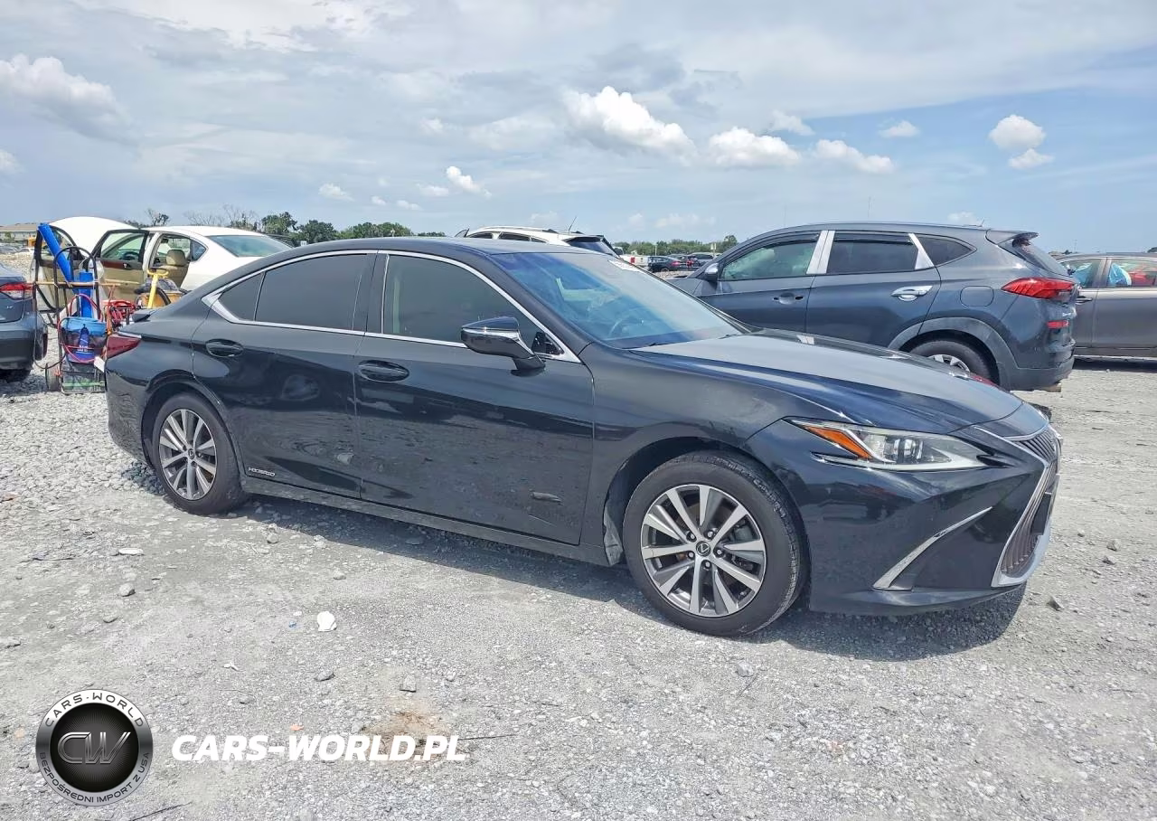 2020 Lexus Es 300H VIN:58AD21B11LU009363 - 4