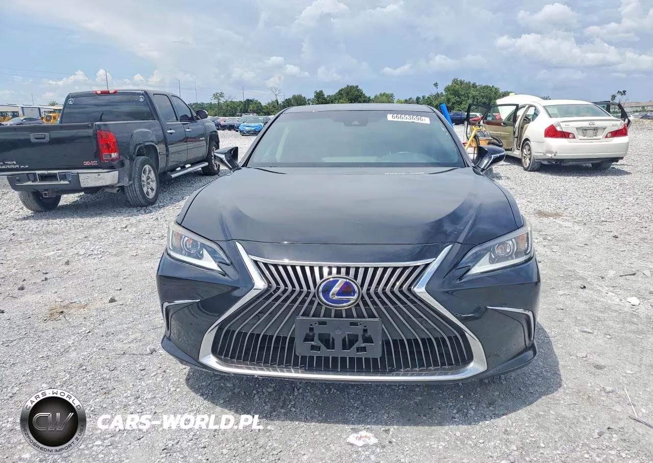 2020 Lexus Es 300H VIN:58AD21B11LU009363 - 5