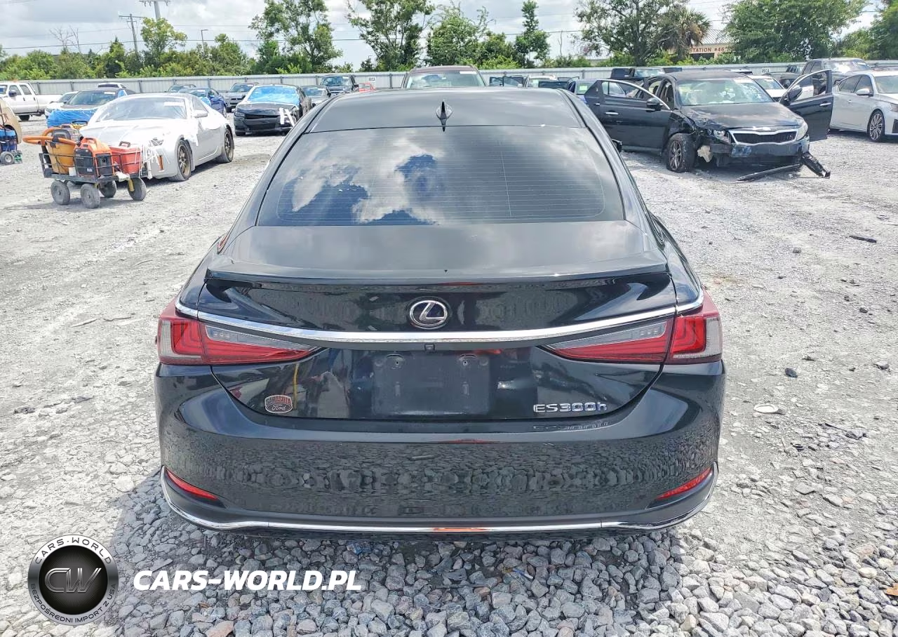 2020 Lexus Es 300H VIN:58AD21B11LU009363 - 6