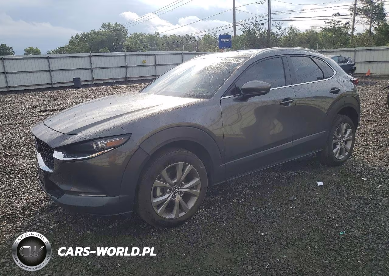 2021 Mazda Cx-30 Premium