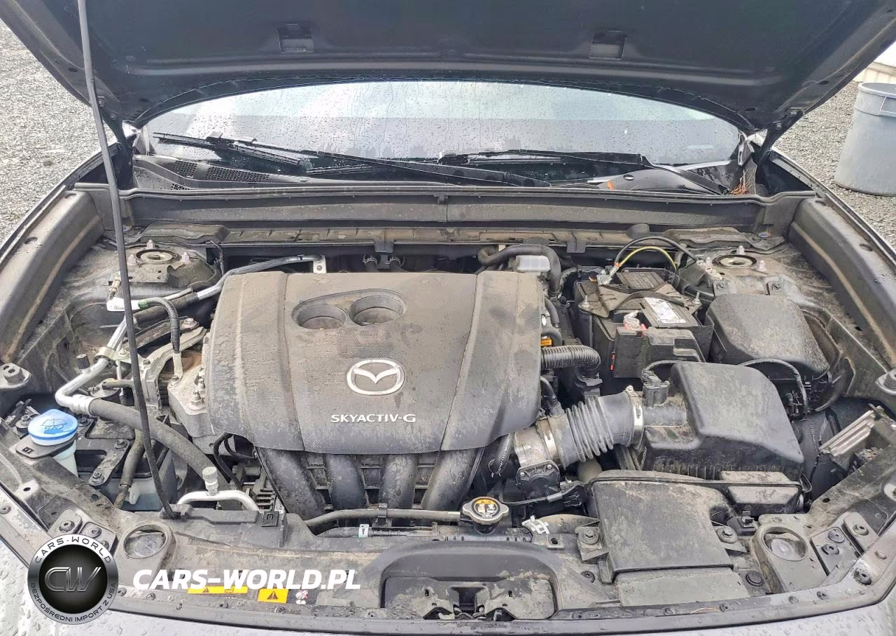 2021 Mazda Cx-30 Premium VIN:3MVDMBDL2MM315616 - 12