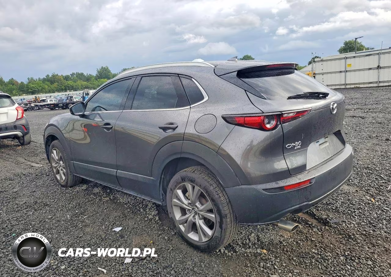 2021 Mazda Cx-30 Premium VIN:3MVDMBDL2MM315616 - 2