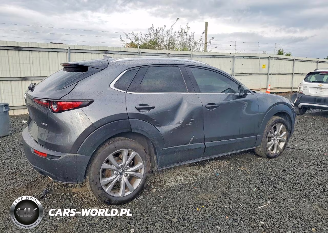 2021 Mazda Cx-30 Premium VIN:3MVDMBDL2MM315616 - 3