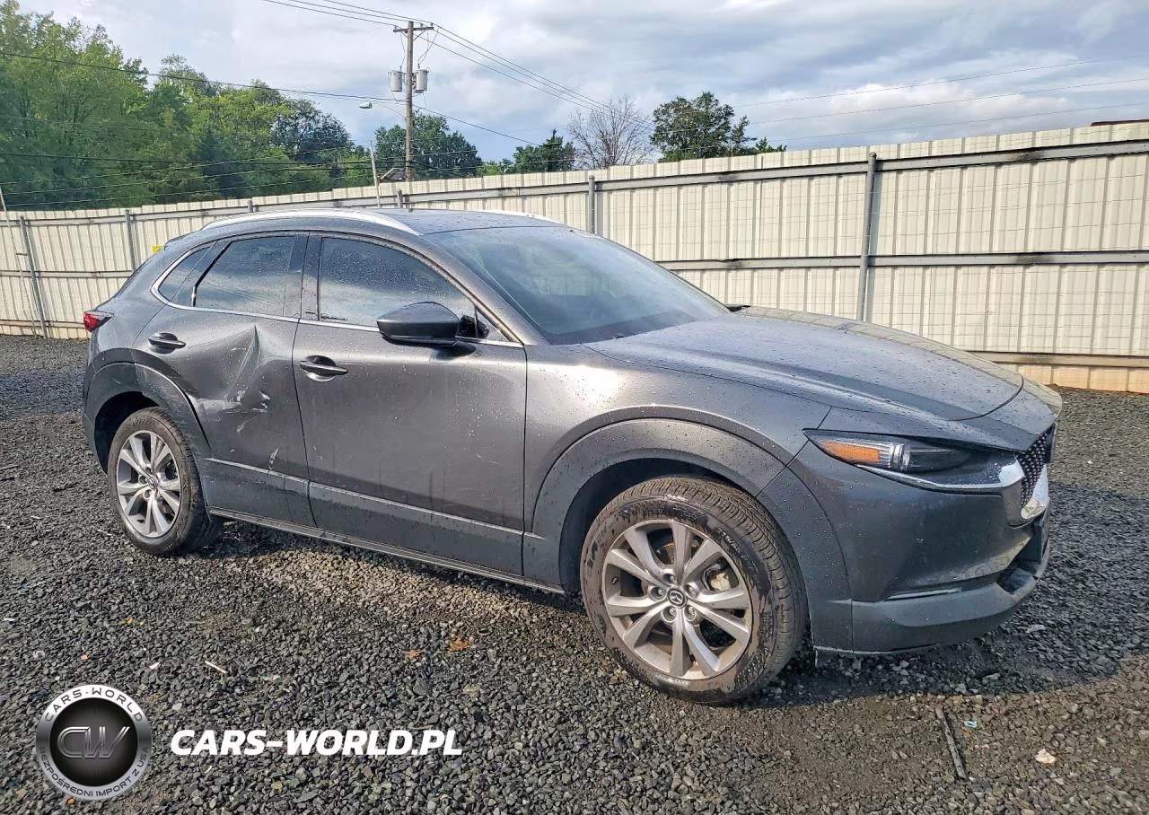 2021 Mazda Cx-30 Premium VIN:3MVDMBDL2MM315616 - 4