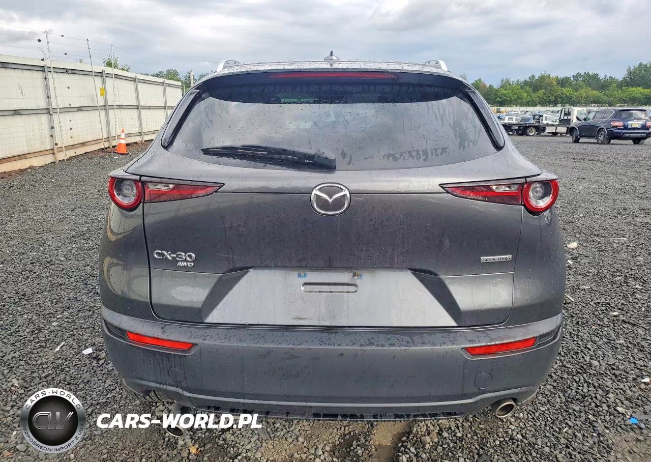 2021 Mazda Cx-30 Premium VIN:3MVDMBDL2MM315616 - 6