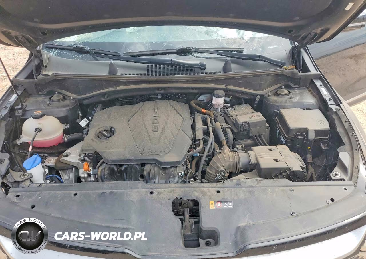 2023 Kia Sportage Ex VIN:5XYK33AF4PG091752 - 12