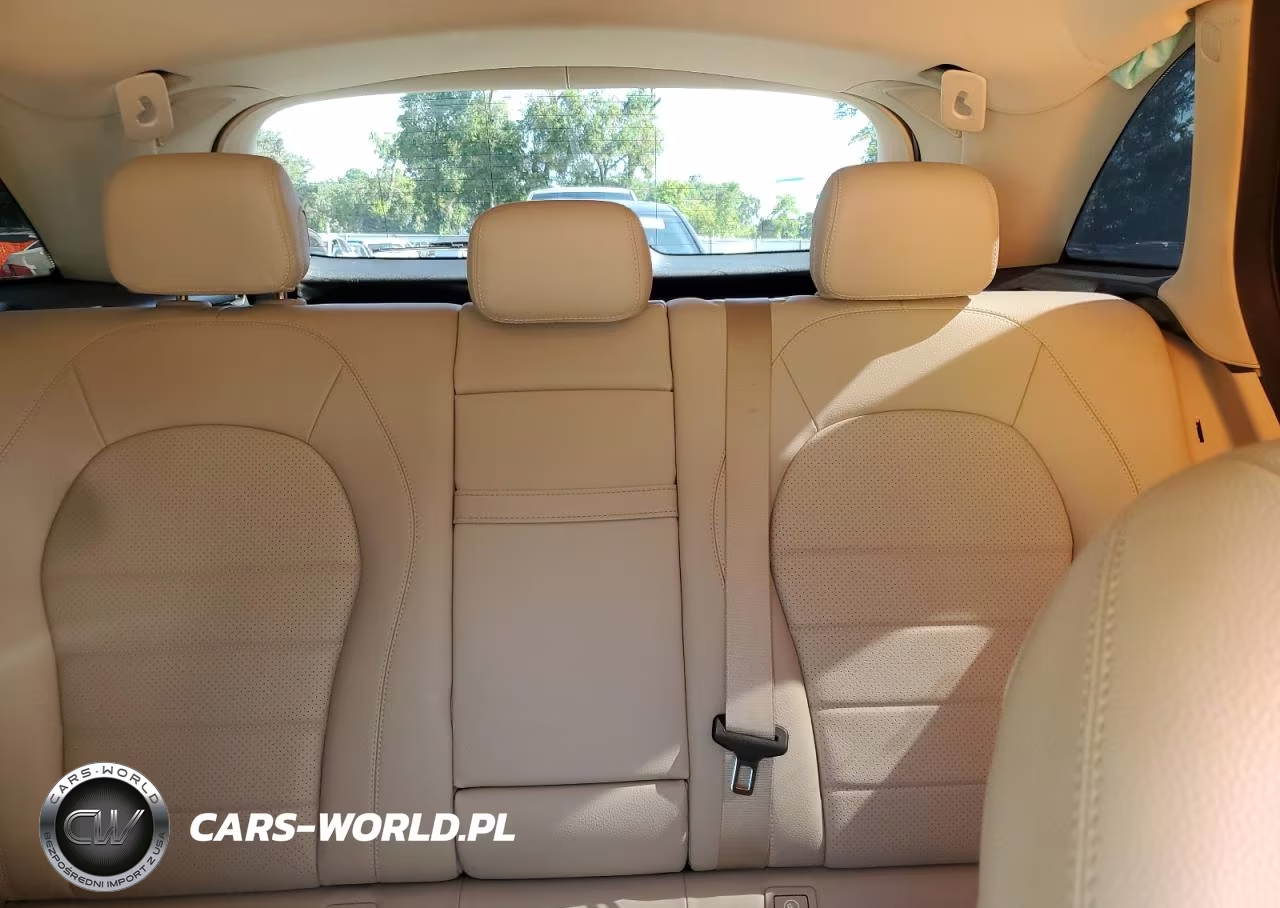 2020 Mercedes-Benz Glc 300 VIN:W1N0G8DB0LF863915 - 10