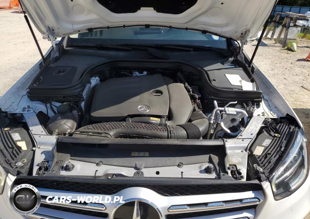 2020 Mercedes-Benz Glc 300 VIN:W1N0G8DB0LF863915 - 12