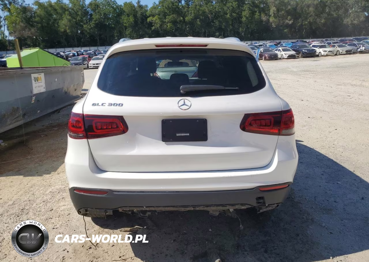 2020 Mercedes-Benz Glc 300 VIN:W1N0G8DB0LF863915 - 6