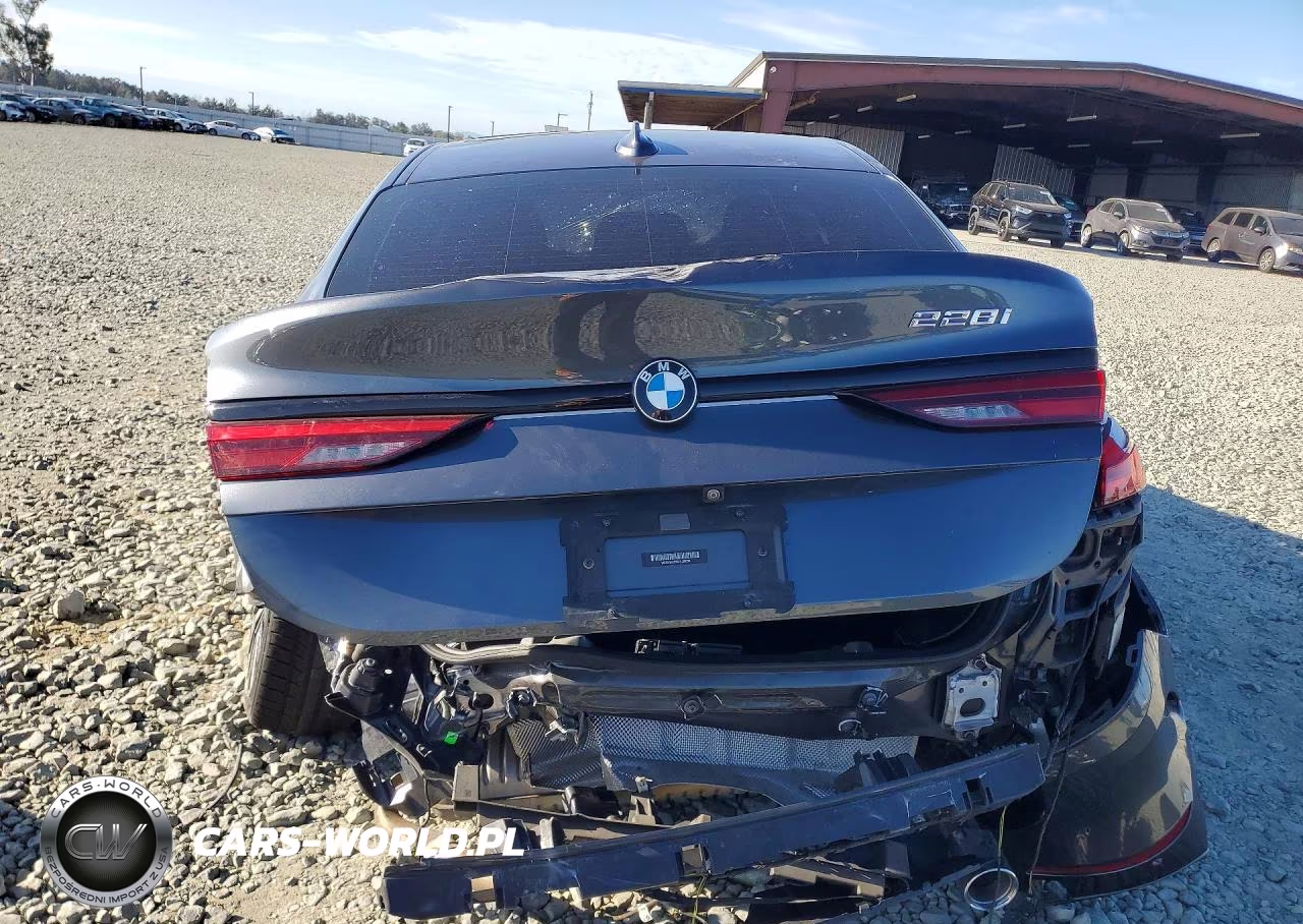 2021 BMW 228I VIN:WBA53AK05M7J09094 - 6