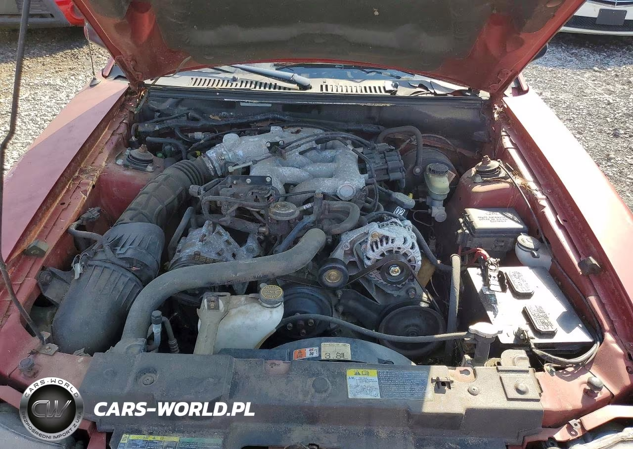 2003 Ford Mustang VIN:1FAFP40443F303922 - 11